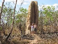 litchfield_termite_mound.jpg