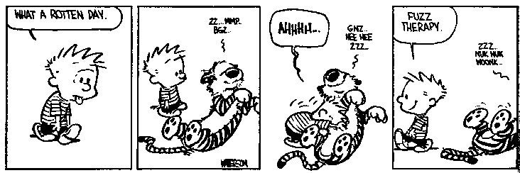 Calvin&Hobbes_1988_04.jpg