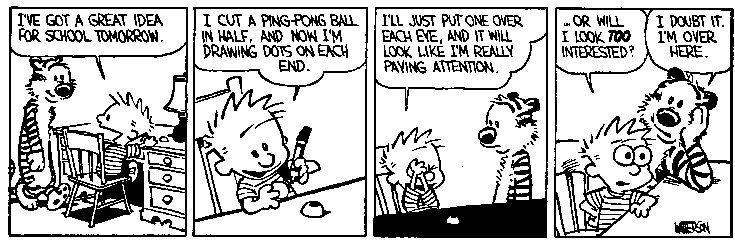 Calvin&Hobbes_1988_05.jpg