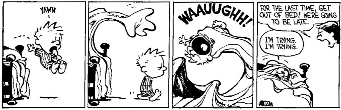 Calvin&Hobbes_1989_01.jpg