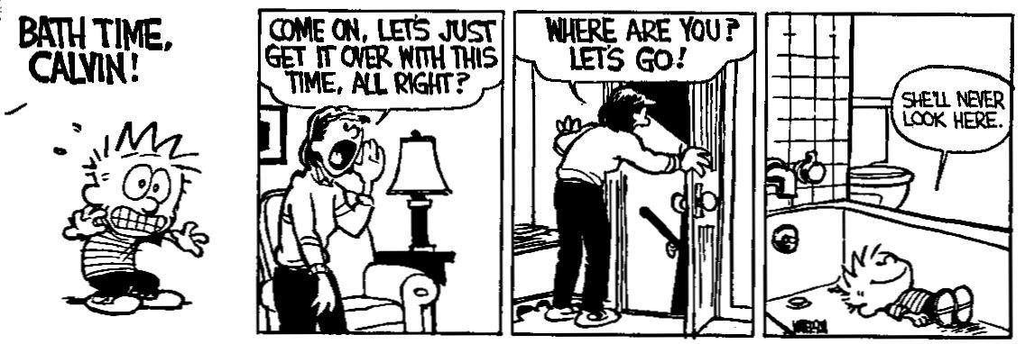 Calvin&Hobbes_1989_02.jpg